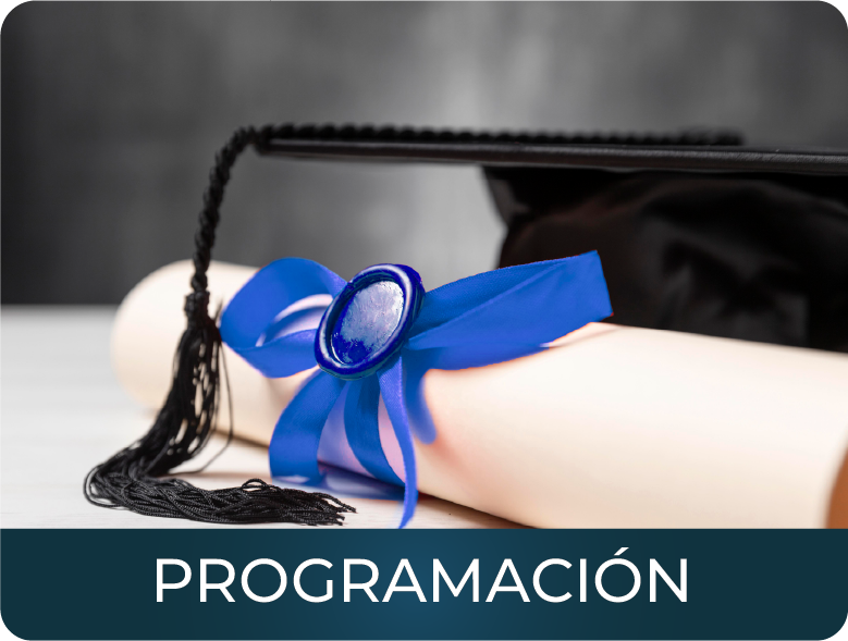 Programación